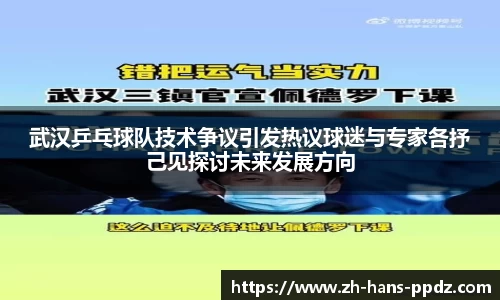 武汉乒乓球队技术争议引发热议球迷与专家各抒己见探讨未来发展方向